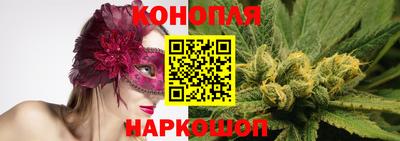 мдпв Обь