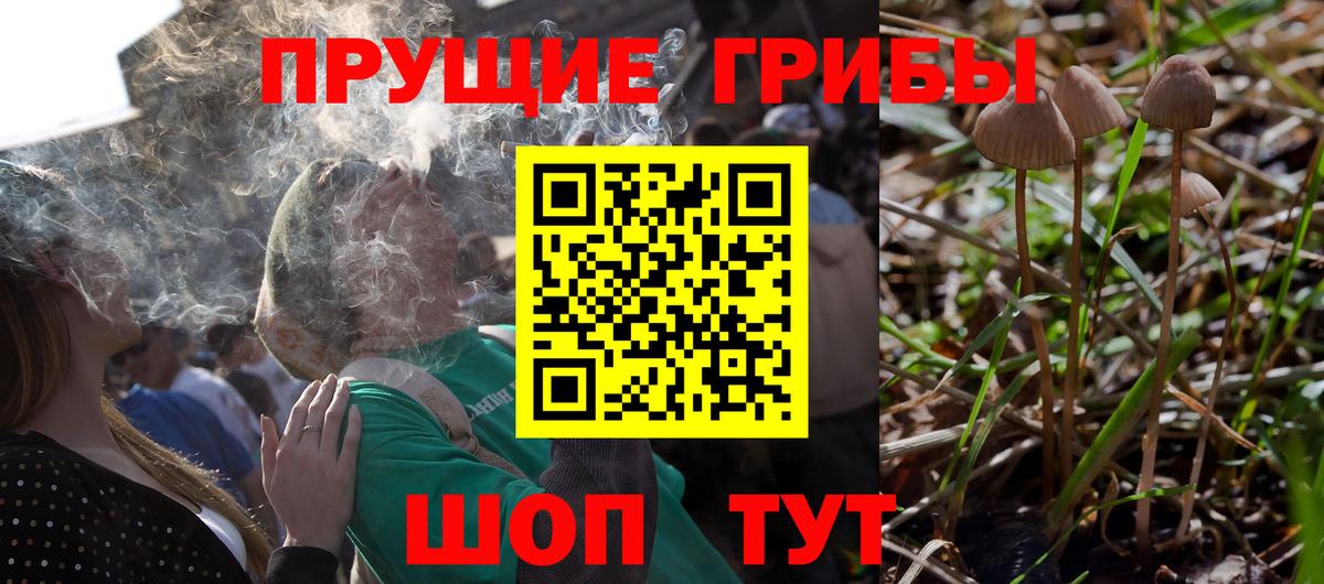 Галлюциногенные грибы мухоморы Топки
